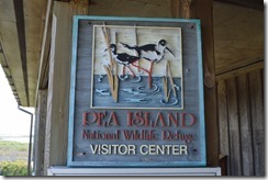 Pea Island NWR