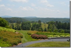 Biltmore Inn view