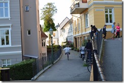 Bergen Floyen houses