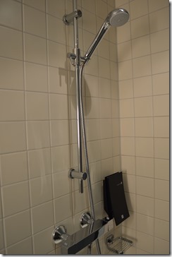 Clarion BGO shower-2