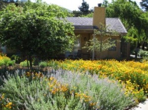 Bernardus Lodge cabin in spring flowers Carmel Valley CA
