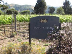 Bernardus Lodge vineyard, Carmel Valley, CA