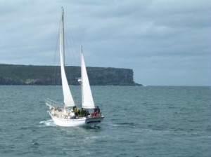 Sailing in Sydney Harbour