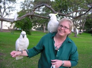 Wild Cockatoos in Sydney city park