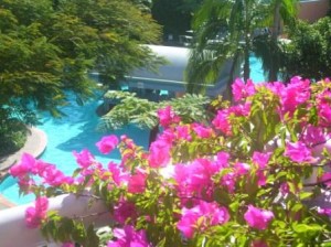 Sheraton Noosa pool view room, Queensland, Australia