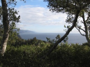 Big Sur Nepenthe Restaurant view from patio