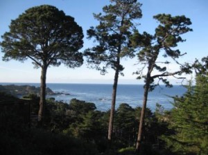 Hyatt Highlands Inn view, Carmel Highlands