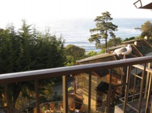 Hyatt Highlands Inn porch with seagull visitor