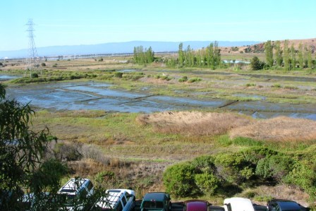 W Silicon Valley Newark - wetlands view 2009