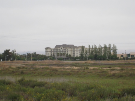 W Silicon Valley seen from La Riviere Marsh