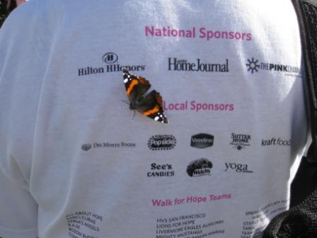 Butterfly by Hilton HHonors Sponsor