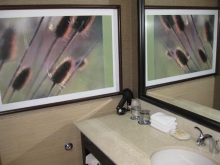 Bathroom Counter, Sheraton Denver Downtown