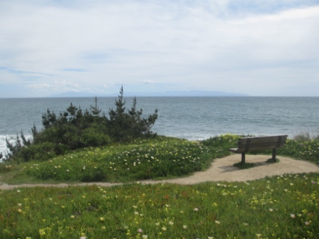 a bench on a path by the ocean