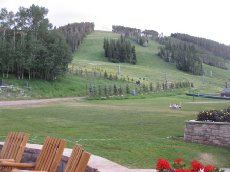 a view of a grassy area with trees and a hill