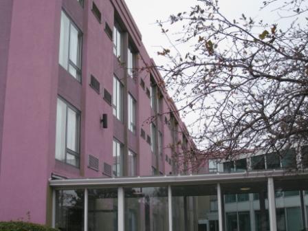 a building with a pink wall