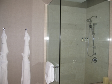 a shower with a glass door