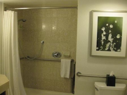 a bathroom with a shower and toilet