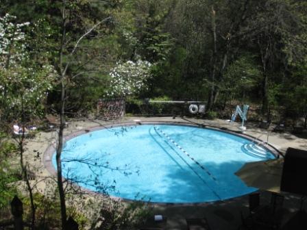 a swimming pool surrounded by trees