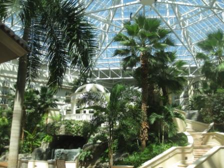a glass roof with a staircase and palm trees