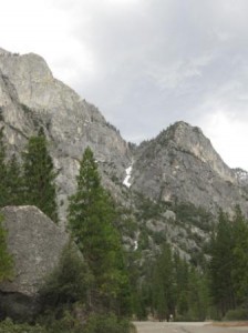 a mountain with trees and rocks