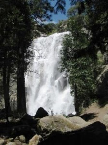 a waterfall in the forest