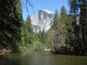 a river surrounded by trees and a mountain