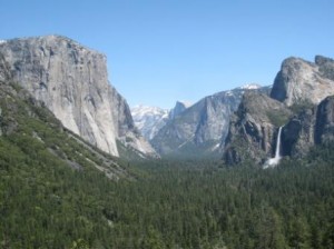 a valley with trees and mountains