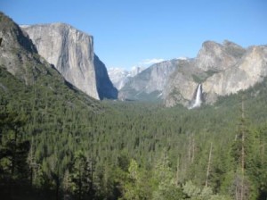 a high angle view of a valley with trees and mountains