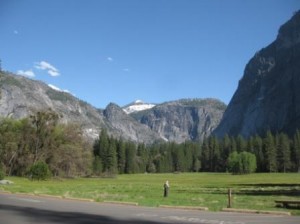 a green field with trees and mountains in the background