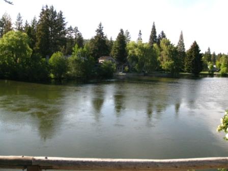 a lake surrounded by trees