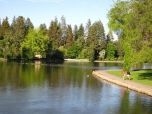 a lake with a path and trees