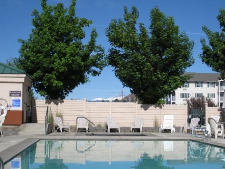 a pool with chairs and trees