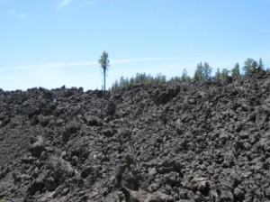 a close-up of a rocky hill