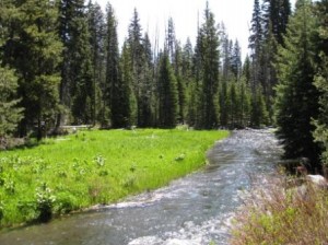 Under Cascade Blue Skies – Cascade Lakes Scenic Byway in Oregon ...