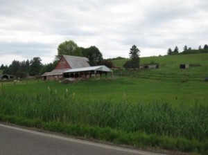 long shot of a farm