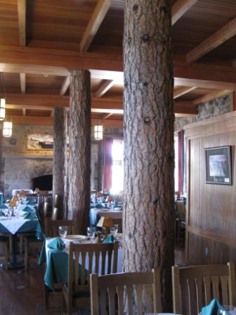 a restaurant with a large tree trunk