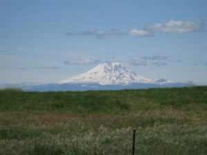 a mountain in the distance