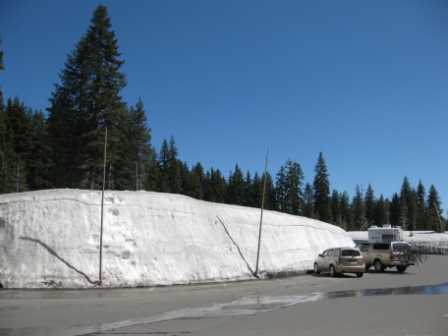 a snow wall and cars parked in front of trees
