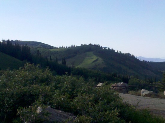 a landscape of a mountain with trees