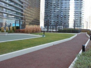 a path with grass and buildings in the background