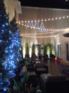 a room with a christmas tree and lights