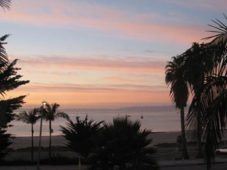 palm trees and a beach during sunset