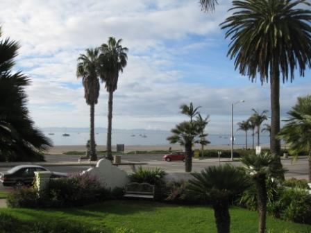 a palm trees and a beach