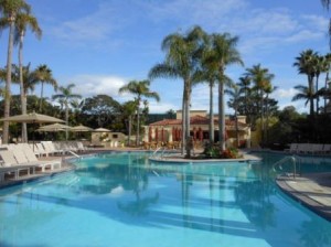 a swimming pool with palm trees