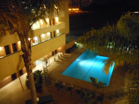 a swimming pool and palm trees at night