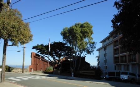 a street with buildings and trees