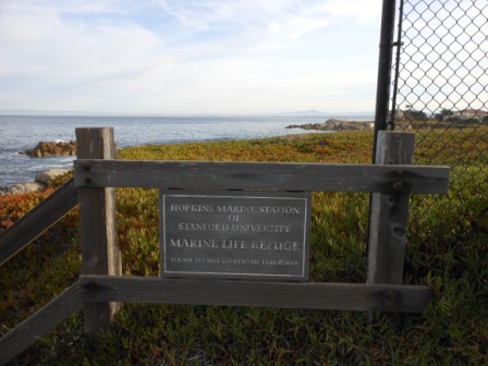 a sign on a fence by the ocean