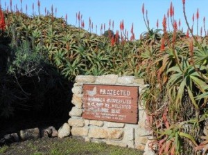 a sign in front of a hedge