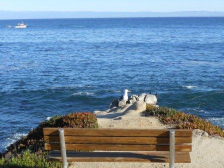 a bench overlooking the ocean