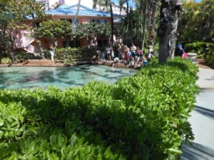 a group of people standing in a pool